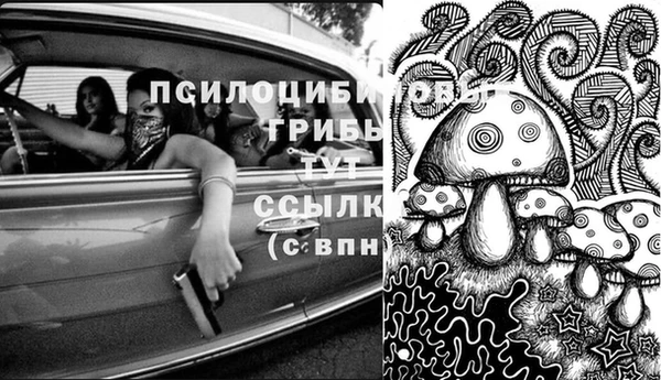 амфетамин Арсеньев