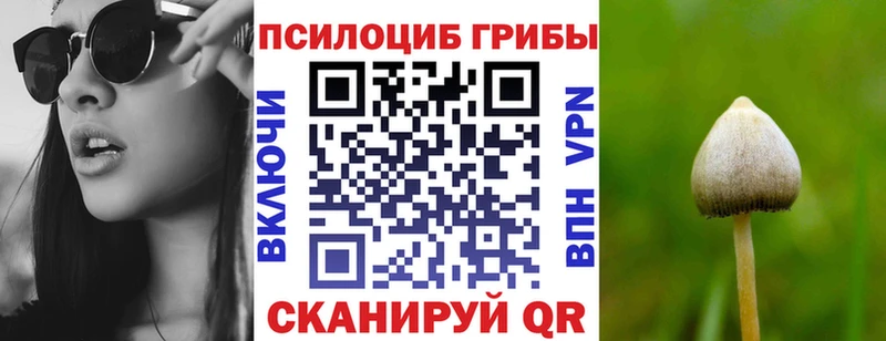 наркошоп  Фатеж  даркнет клад  Галлюциногенные грибы Psilocybe 